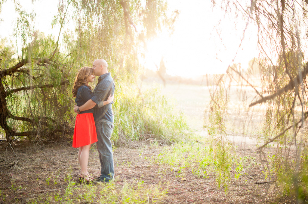 20140517_RuthieandAlexEngagement2014-727-Edit